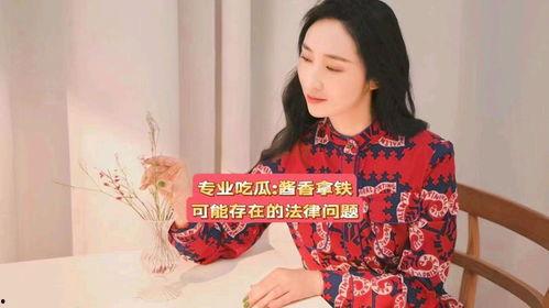 娱乐吃瓜酱法律有多严谨,揭秘法律严谨背后的严密体系