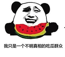 吃瓜群众网络用语,揭秘娱乐圈那些事儿