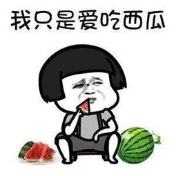 娱乐吃瓜小象是谁啊