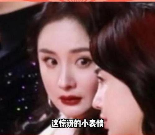 娱乐圈吃瓜被证实的小说,从吃瓜到真相的蜕变之旅